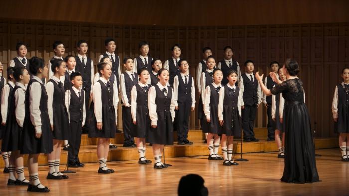 青少年歌唱大賽，激情與才華的較量，青春旋律的碰撞