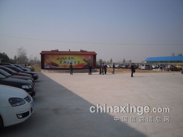 河南紅鼎公棚最新公告，自然美景探索之旅邀請啟動