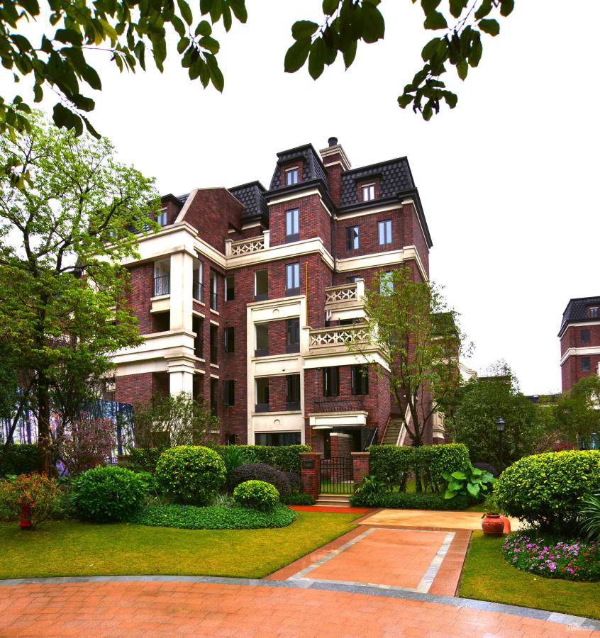 泰禾紅悅最新資訊，自然美景的探索之旅，內(nèi)心平和寧?kù)o的尋覓