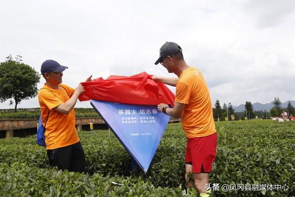 上海今日鋅價(jià)格行情，科技與生活的無縫對(duì)接