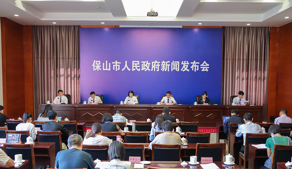 保山最新動(dòng)態(tài)揭秘，小巷中的隱藏瑰寶