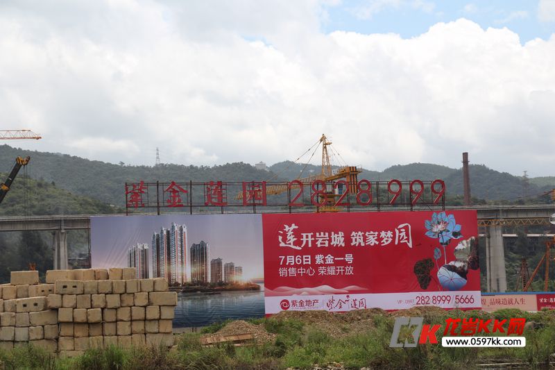 龍巖紫金蓮園最新資訊,龍巖紫金蓮園的溫馨日常