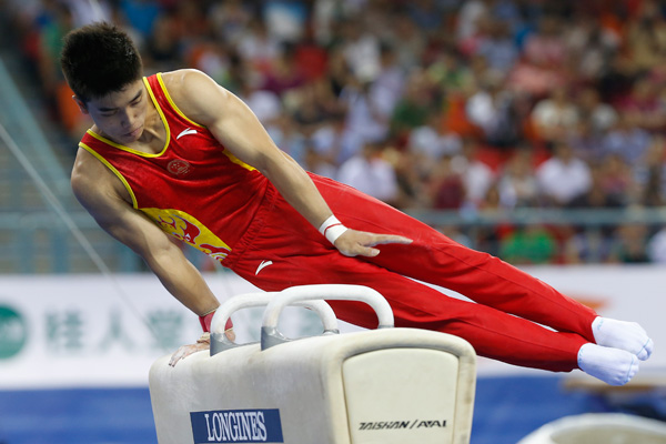 科技重塑競技激情，鞍馬比賽的革新與挑戰(zhàn)