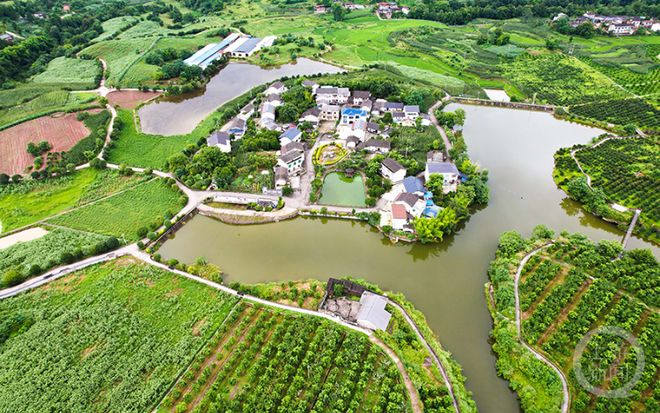 墊江白家最新動態(tài)更新，最新消息匯總