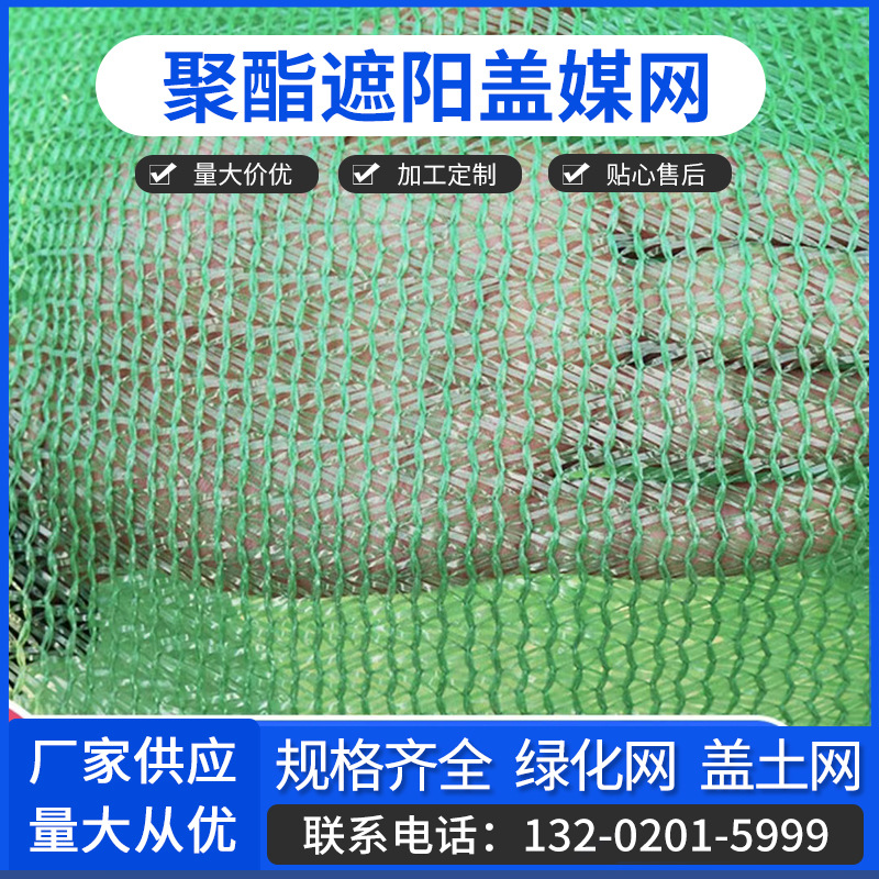 蓋網(wǎng)最新動(dòng)態(tài)揭秘，一場溫馨的冒險(xiǎn)之旅