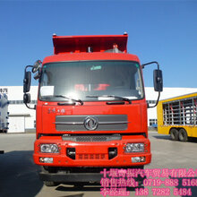 最新款輕量化貨車價格，路上的伙伴與溫情陪伴