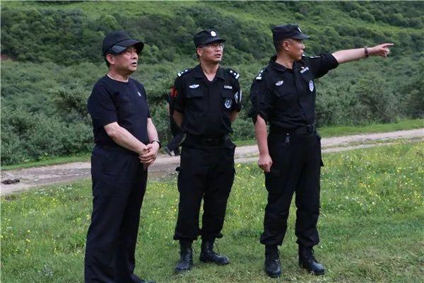 岷縣公安網(wǎng)新動(dòng)態(tài)，力量變革與成就之路的勵(lì)志篇章