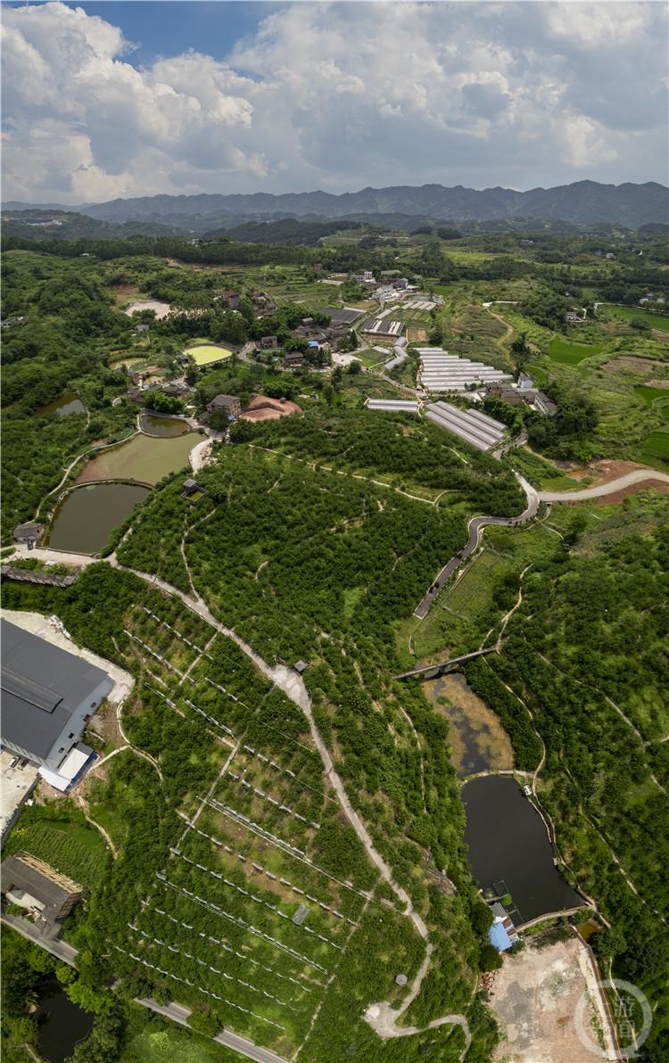 仙桃今日新聞快報(bào)，最新消息匯總