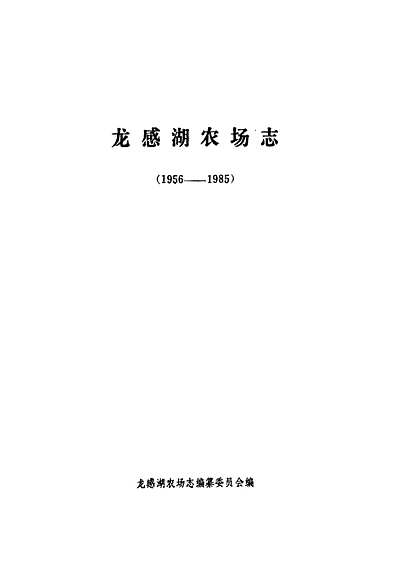 仿石材漆 第17頁
