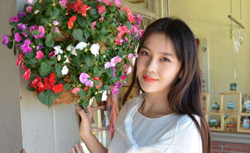 趙韓櫻子最新電視劇，自然美景的治愈之旅探索