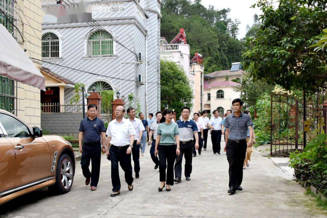 定南徐美清最新動(dòng)態(tài)，自然美景探索之旅，尋找內(nèi)心平和與喜悅的旅程