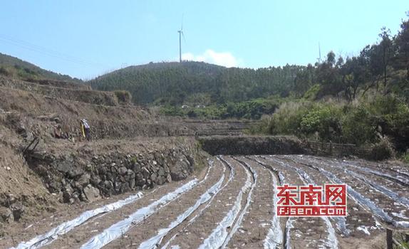 莆田坪洋村新貌，變化中的村莊，自信與成就感的源泉最新消息