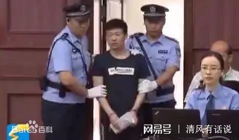 蘇銀霞事件最新進(jìn)展與影響深度聚焦