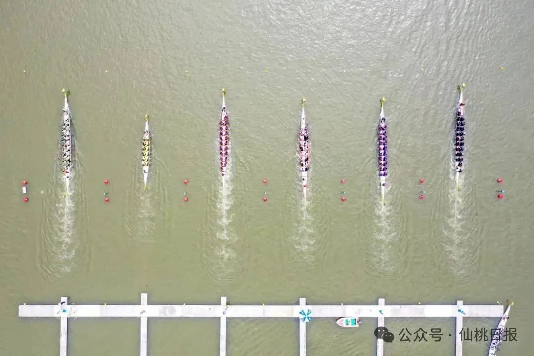 最新無為三汊河龍舟賽，學(xué)習(xí)變遷之路，自信與榮耀的匯聚點(diǎn)