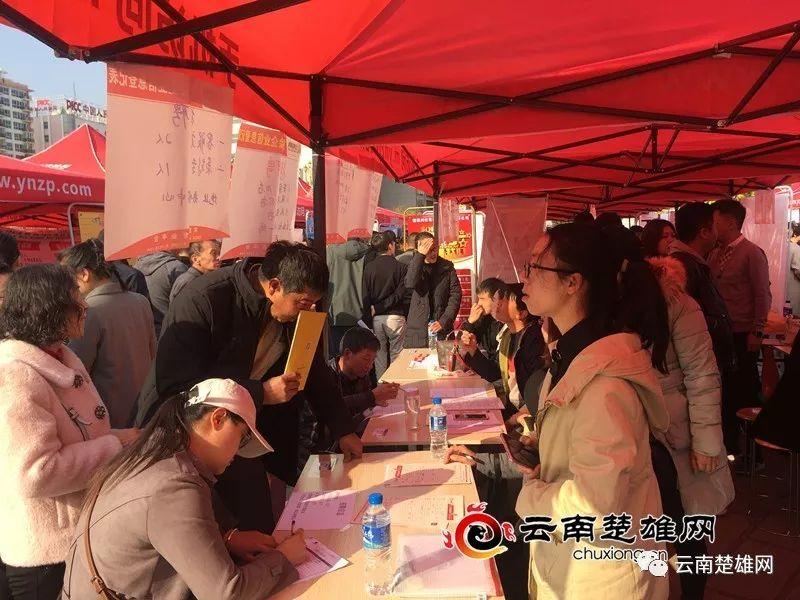 楚雄州委最新人事公示與小巷深處的獨(dú)特風(fēng)味揭秘