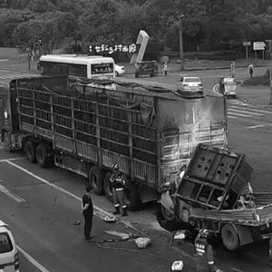 成都交通事故最新動(dòng)態(tài)，深度解析事故及其影響