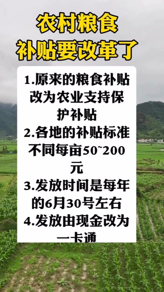 關(guān)于糧食直補(bǔ)的最新消息，展望2025年的政策動(dòng)向
