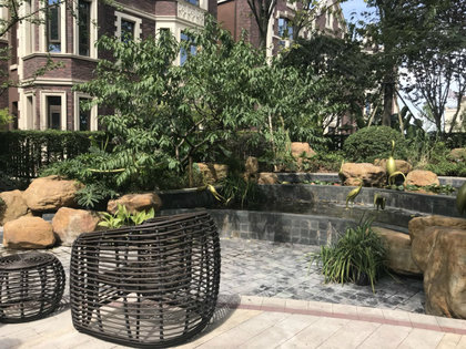 國(guó)博城泊玨墅，家的溫馨與友情的深度，最新動(dòng)態(tài)揭秘